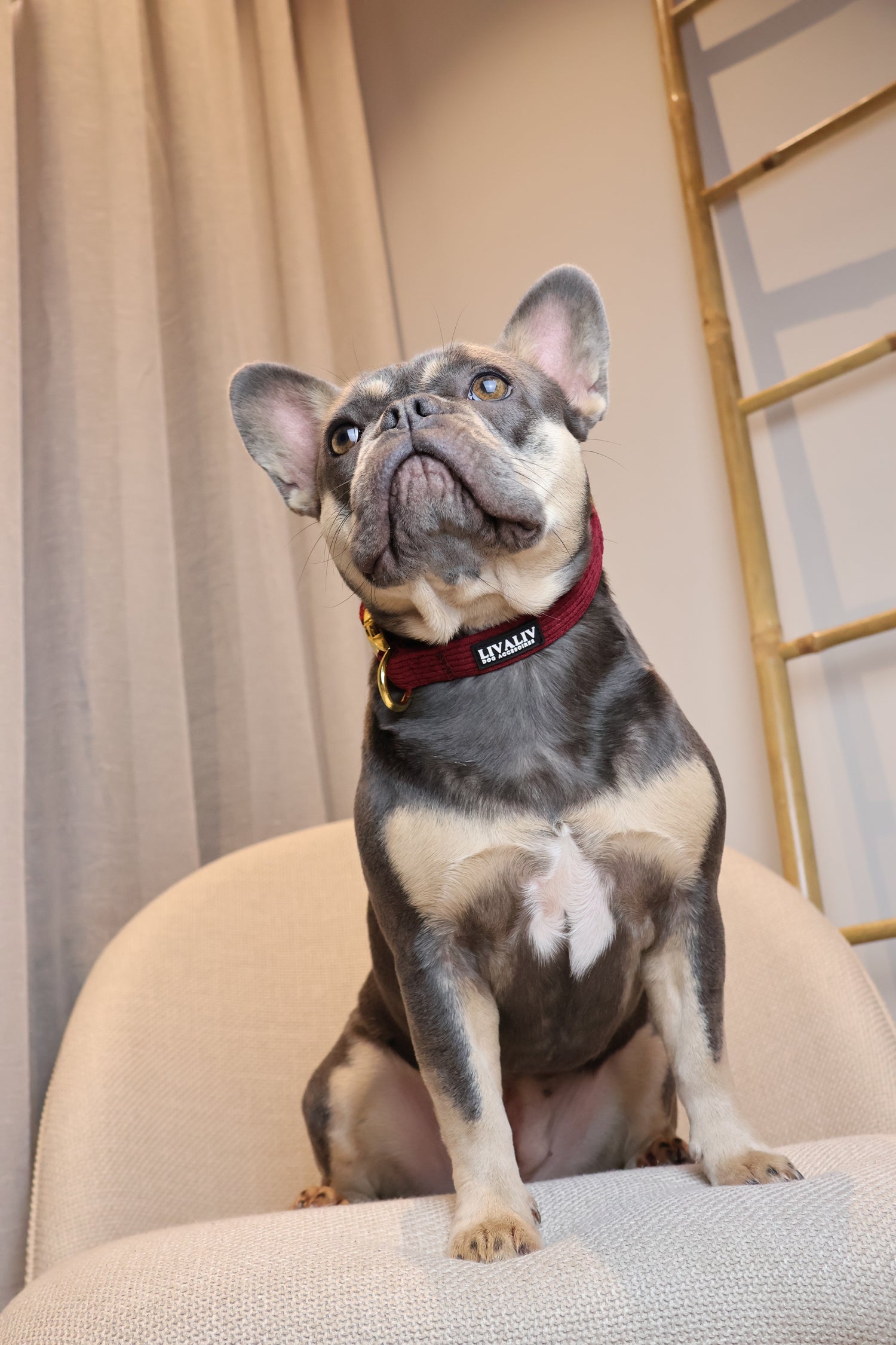 Halsband - ‘Wine o’clock’