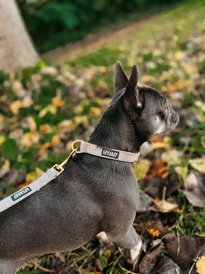 Halsband - 'Stay on taupe'