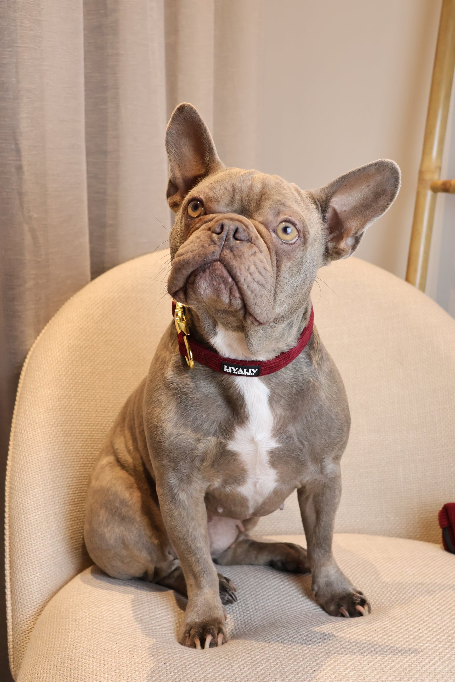 Halsband - ‘Wine o’clock’