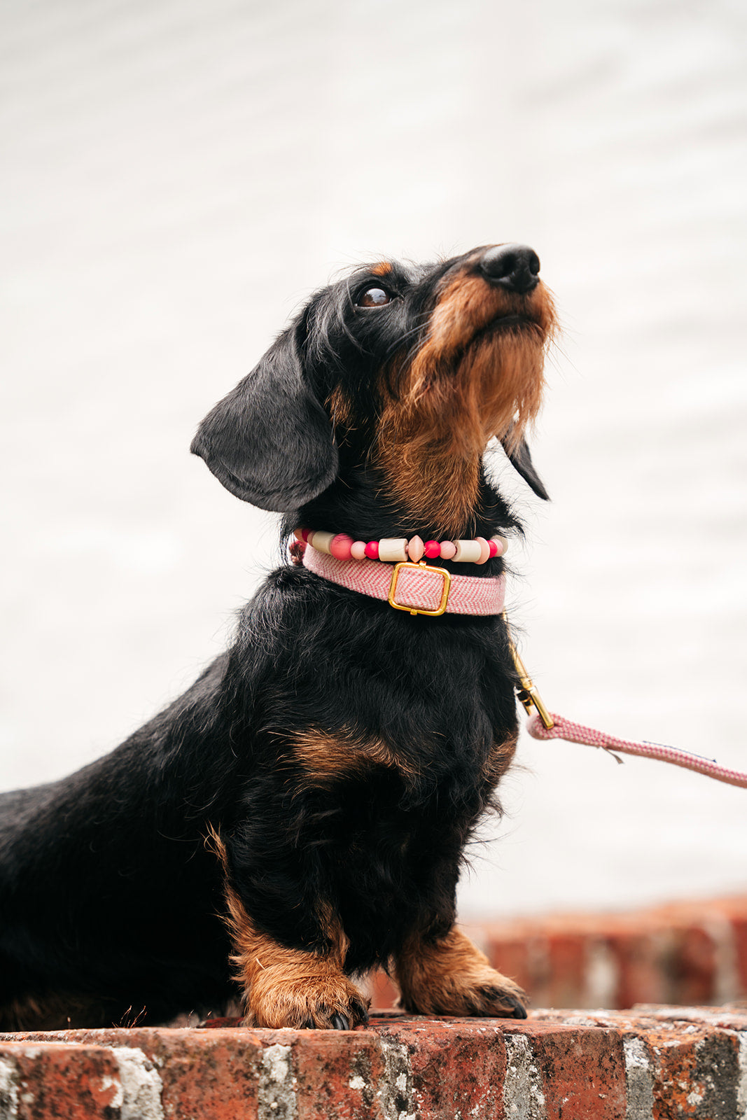 Halsband - 'Summer sweetheart'