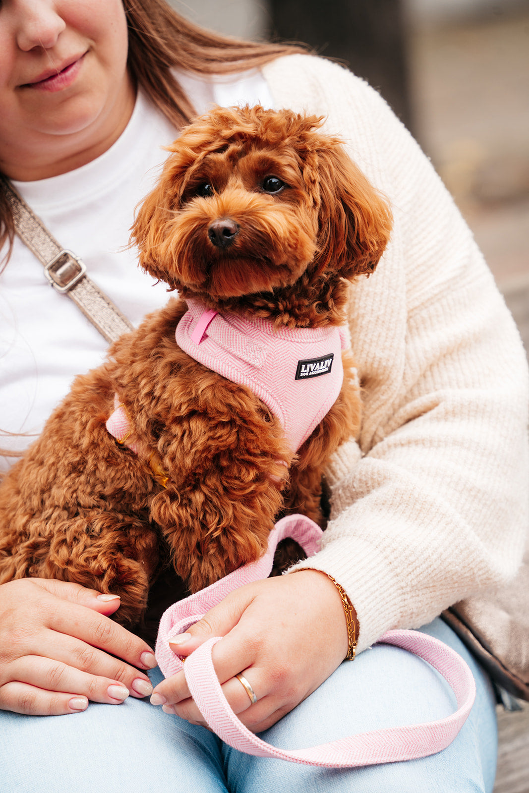 Harnas - 'Summer sweetheart'