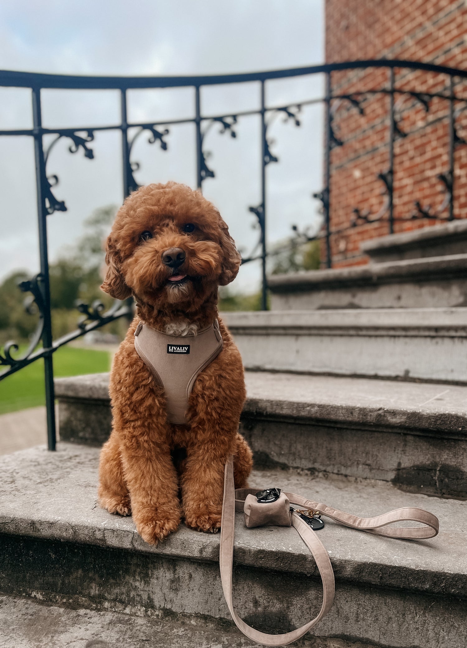 Harnas - 'Stay on taupe'