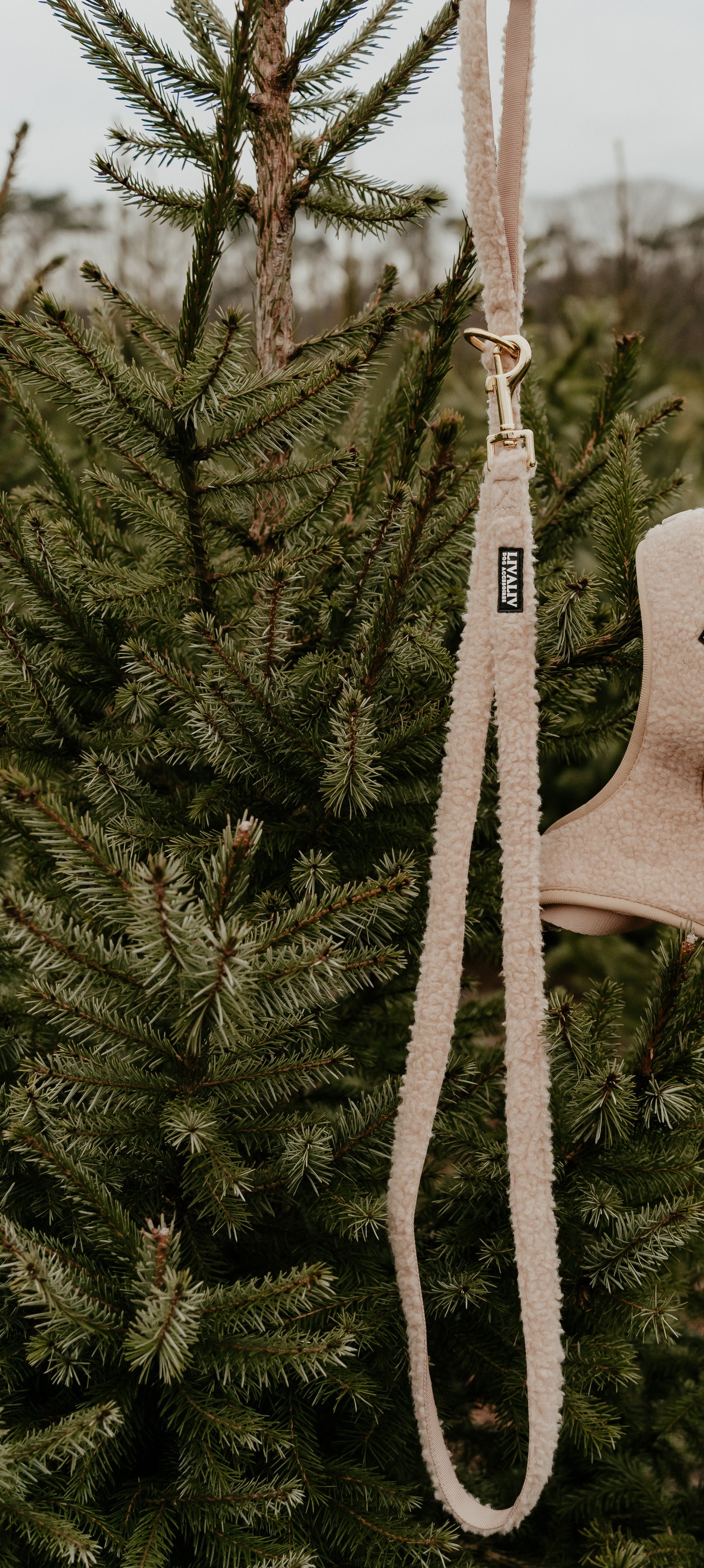 Leiband - 'Teddylicious'