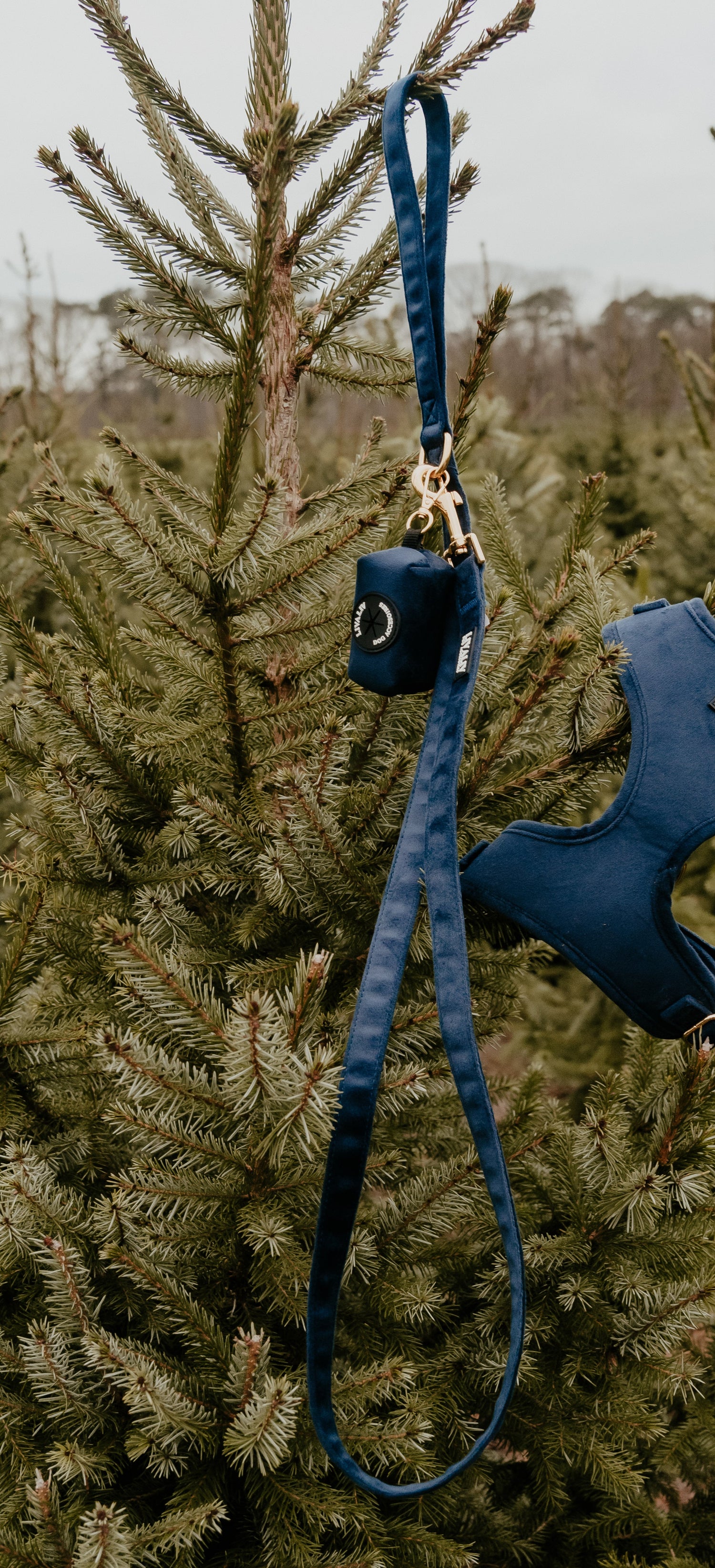 Leiband - 'Midnight Blues'