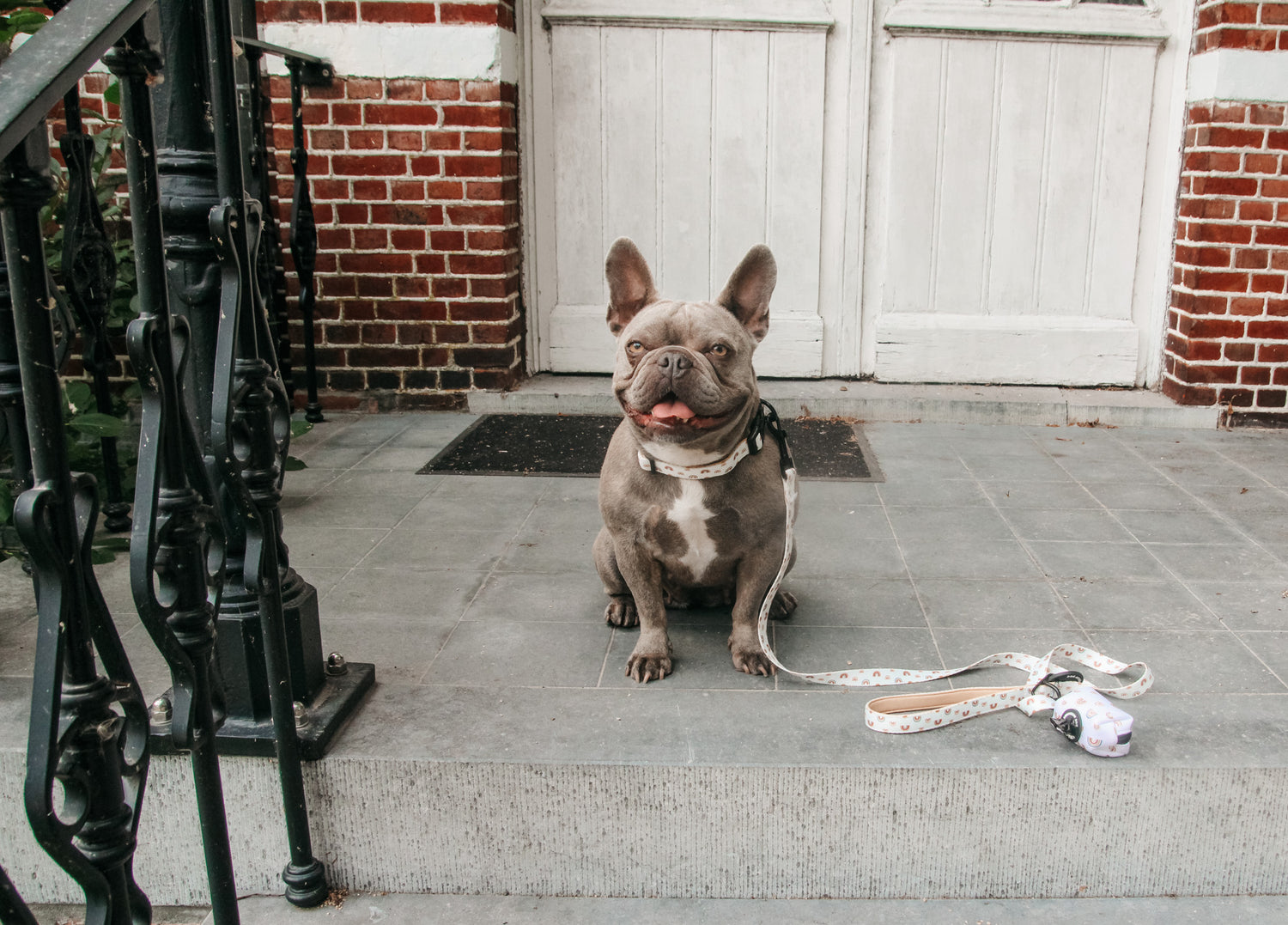 Poepzakjeshouder - 'Over the rainbow'