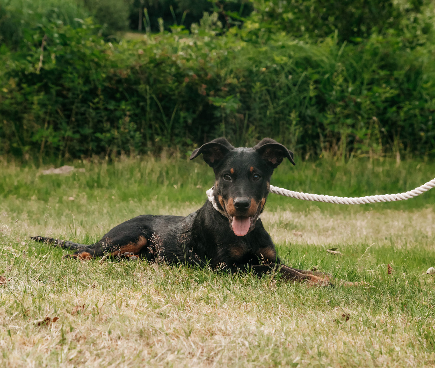 Leiband - 'Twist grijs'