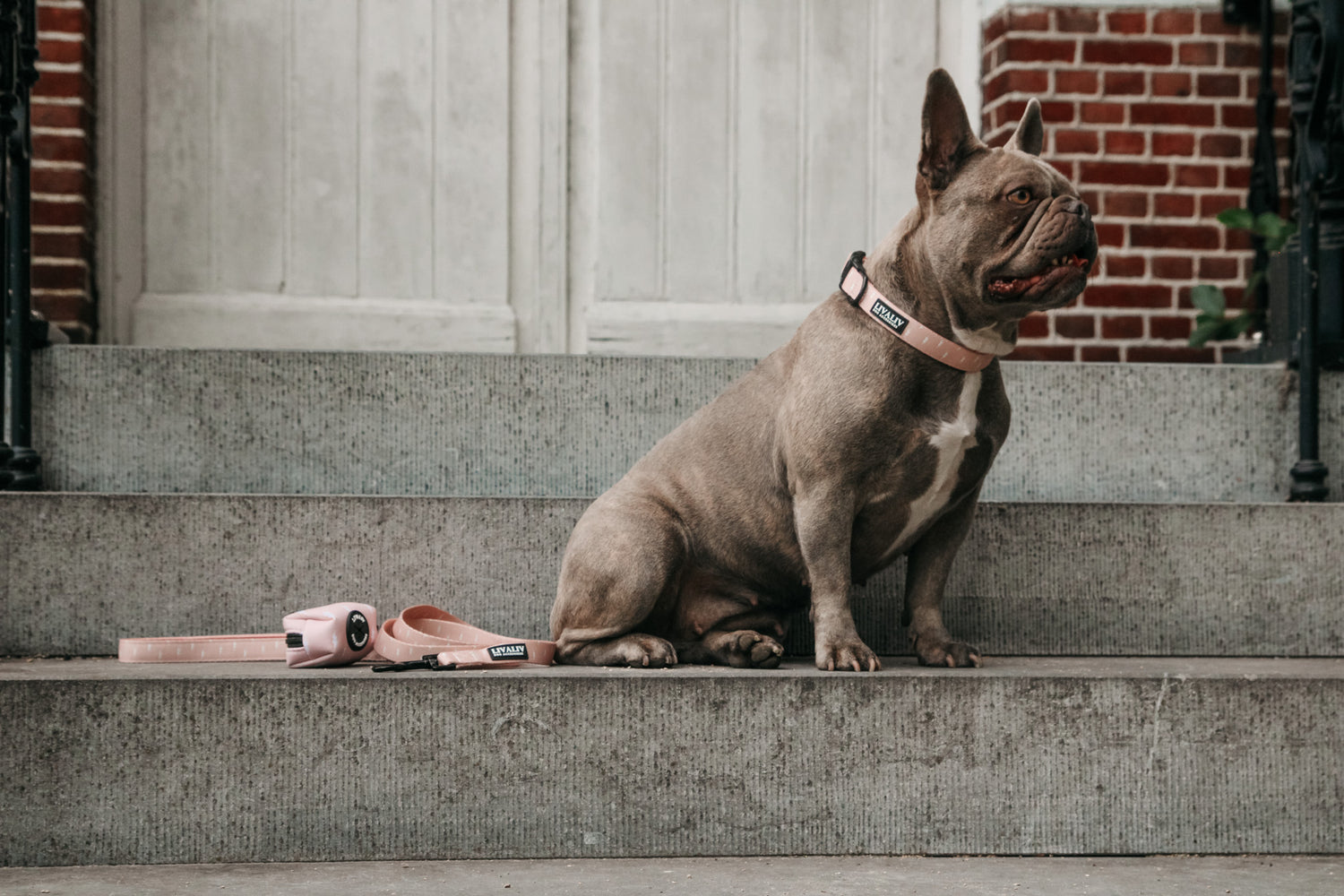 Leiband - 'Girl Power'