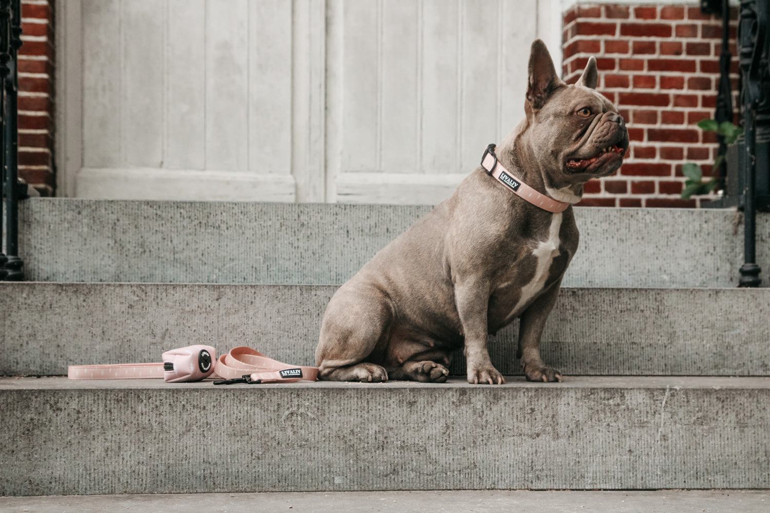 Halsband - 'Girl Power'