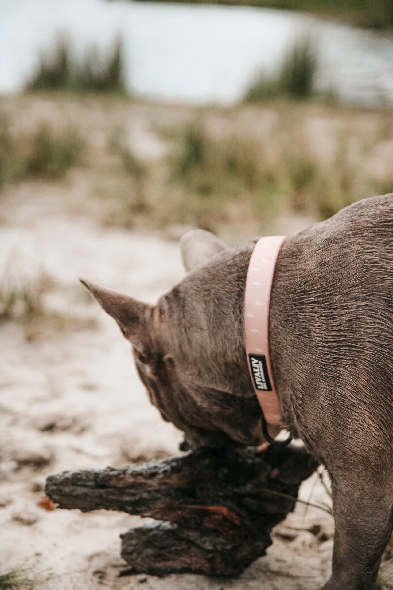 Halsband - 'Girl Power'