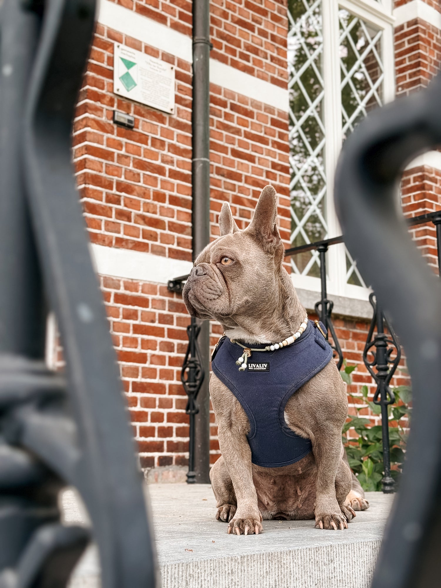 Harnas - 'Midnight Blues'