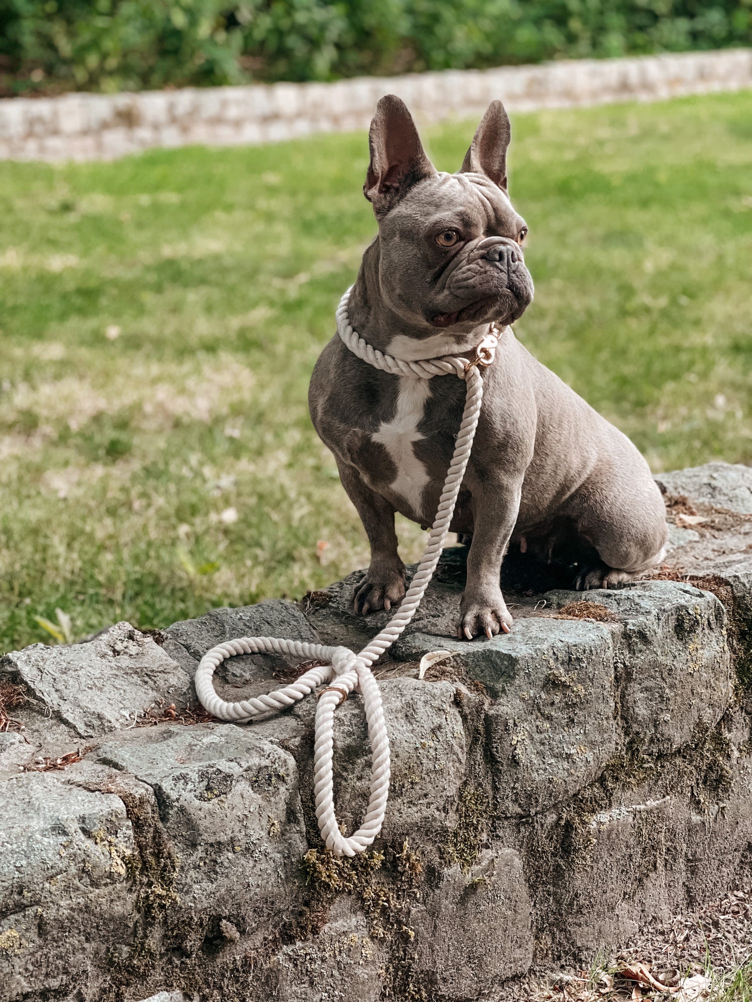 Leiband - 'Twist beige'