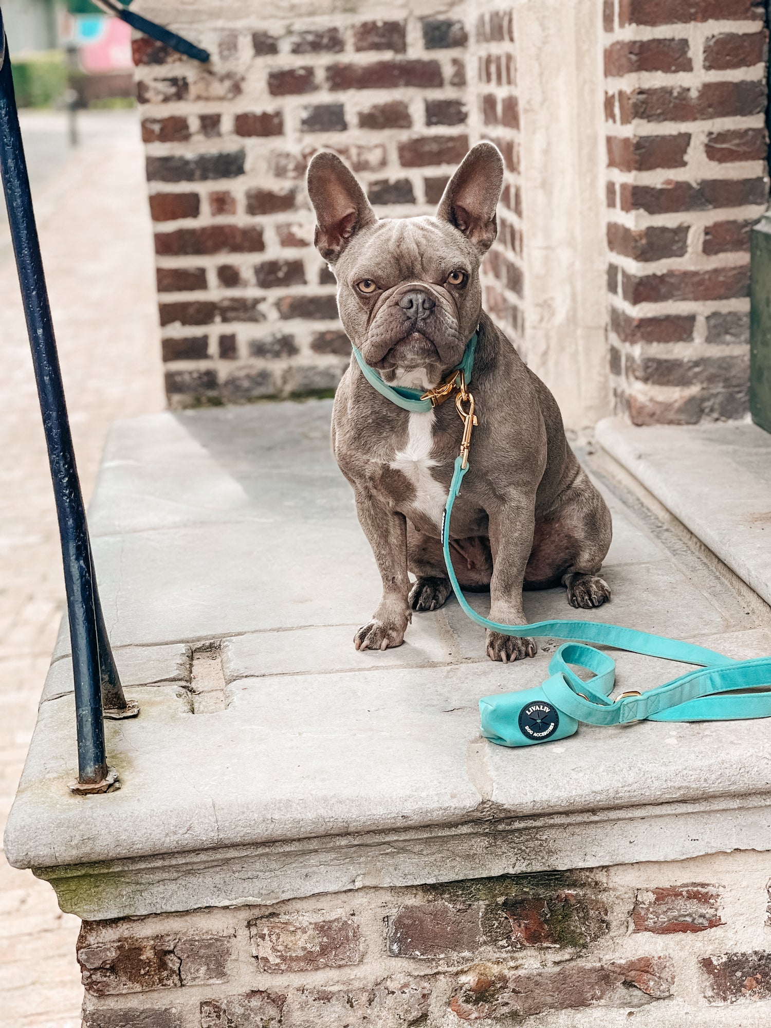 Leiband - 'Hint of mint'