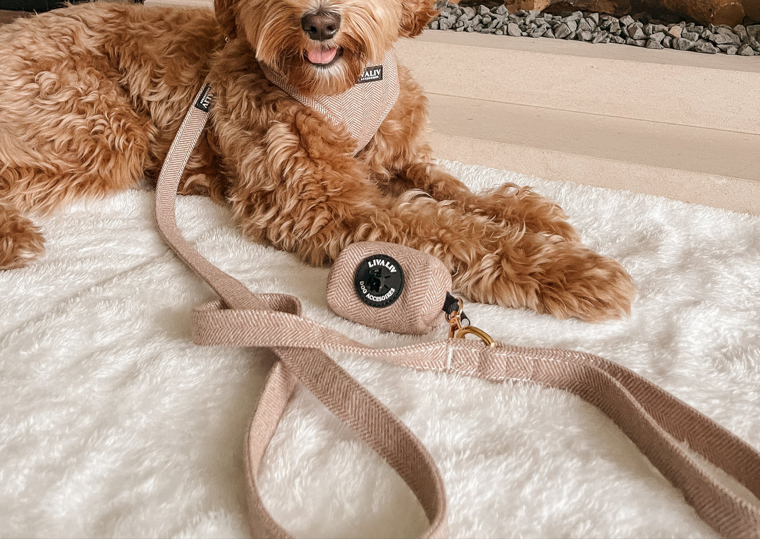 Leiband - 'Latte Magic'